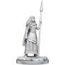 Wizkids Deep Cuts Miniatures: Unpainted Minis- Wave 17- Brigante Celts WZK90454